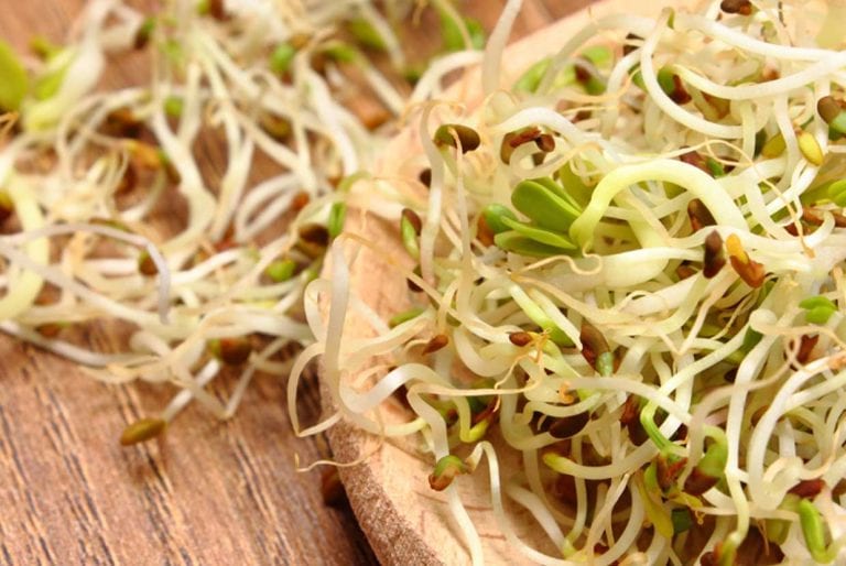 Beneficios de la alfalfa