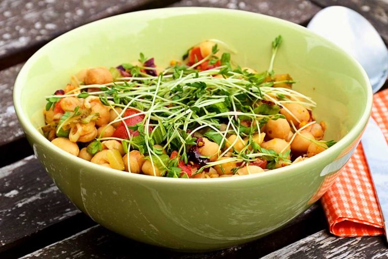 Proteínas de origen vegetal