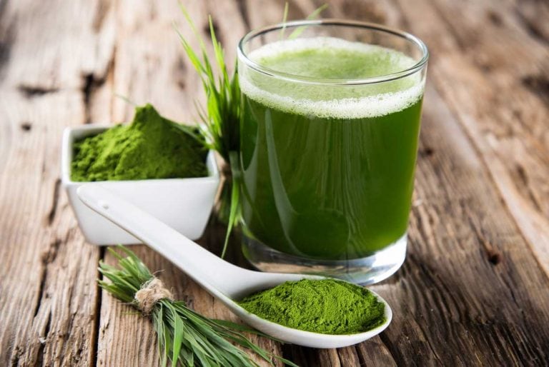 Wheatgrass o pasto de trigo