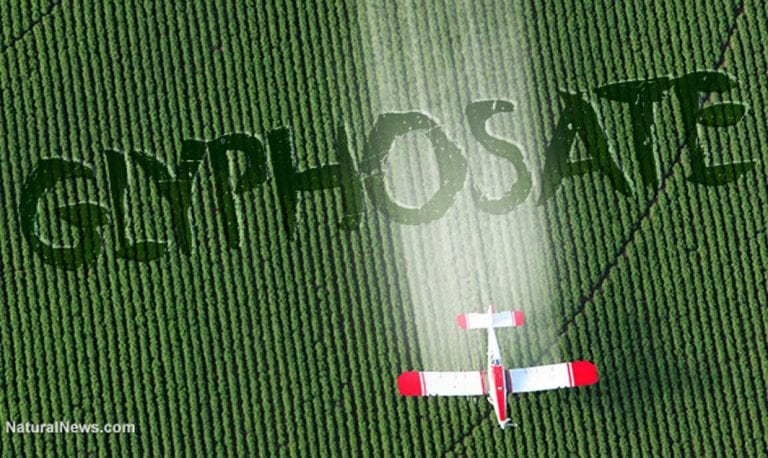 Glifosato, cancerígeno en alimentos